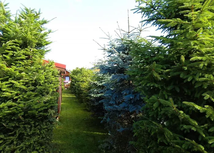 Holiday Home With Swimming Pool By Interhome רוסינובו